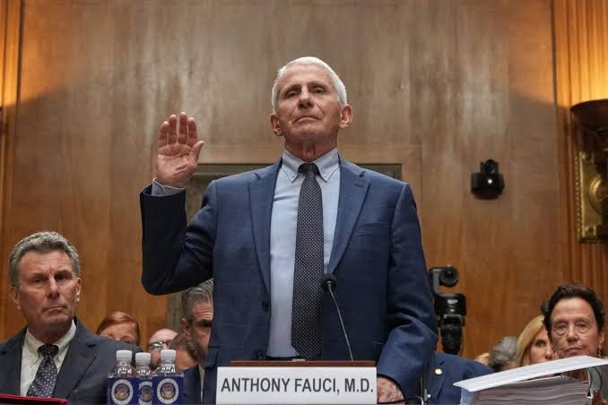 Anthony Fauci testifying at a congressional hearing